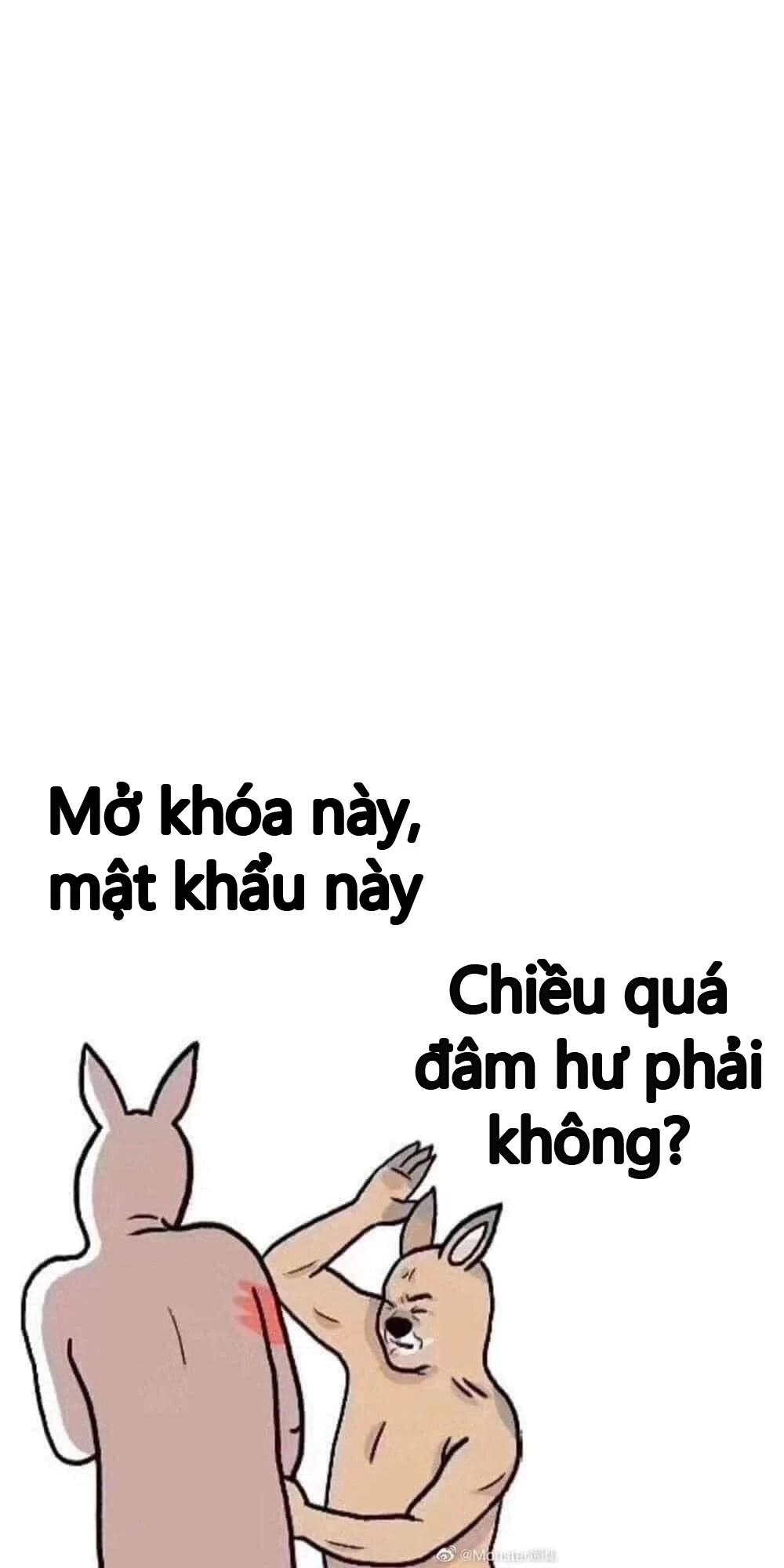 Hình nền điện thoại meme: Sáng tạo và phong cách sống