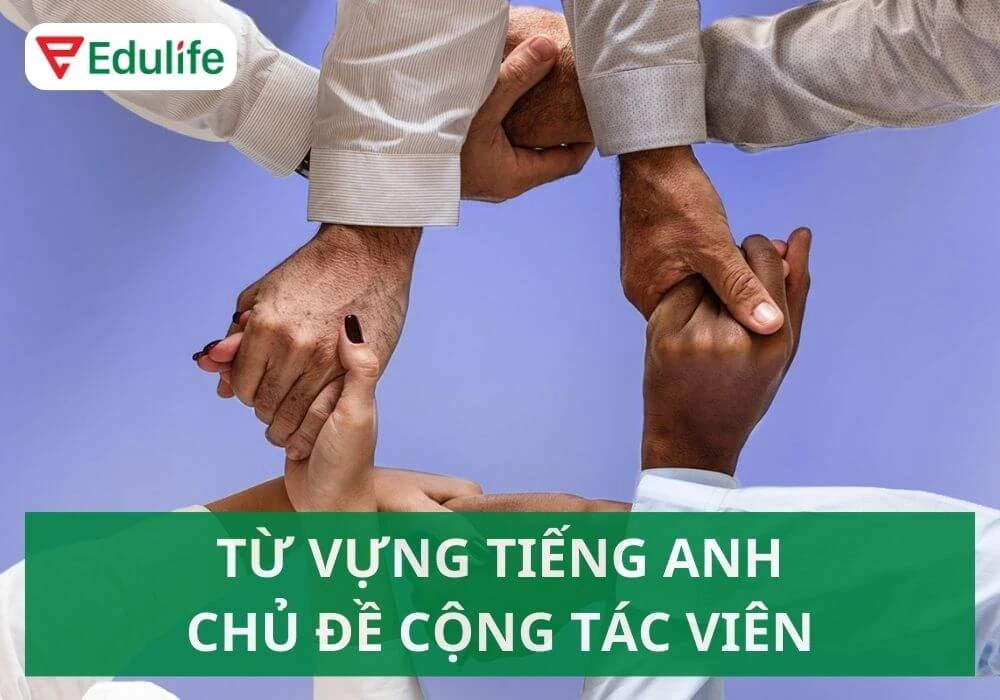Cộng tác viên tiếng Anh là gì? Từ vựng & ví dụ cụ thể